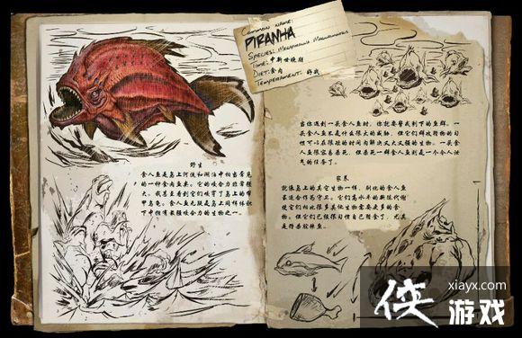 �����������ʳ����ͼ�Ľ���