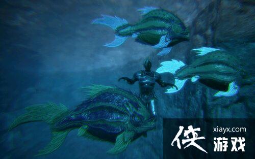 �����������ʳ����ͼ�Ľ���