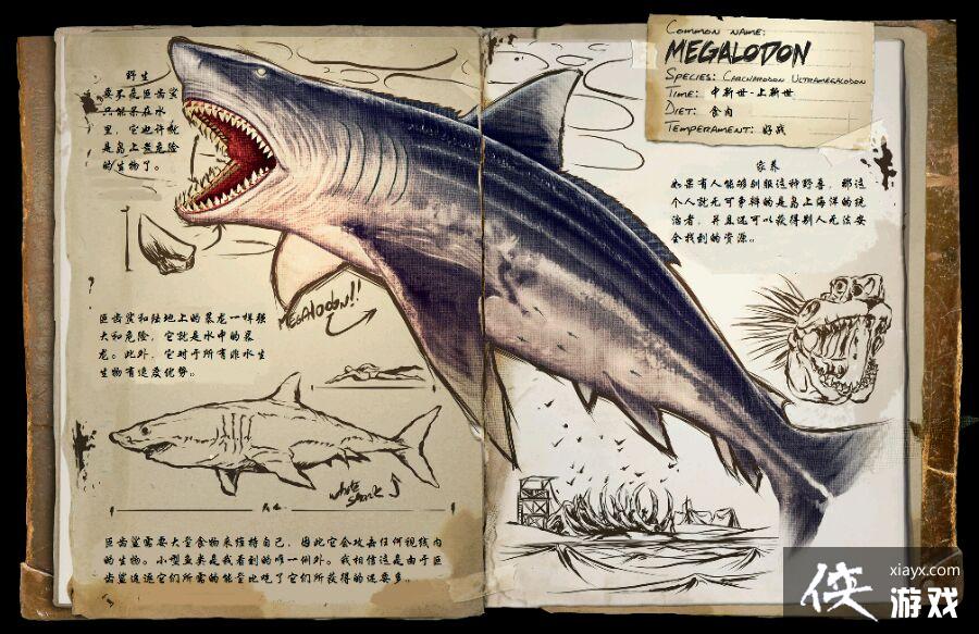 ������������޳���ͼ�Ľ���