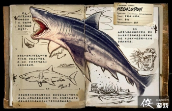 ������������޳���ͼ�Ľ���