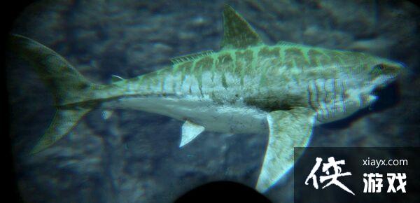 ������������޳���ͼ�Ľ���