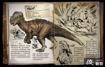 �������������ͷ��ͼ�Ľ���