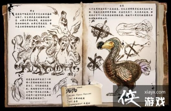 ������������ɶ���ͼ�Ľ���