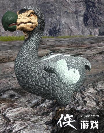 ������������ɶ���ͼ�Ľ���