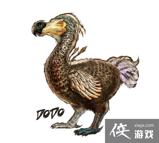 ������������ɶ���ͼ�Ľ���