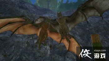 �����������צ��ͼ�Ľ���