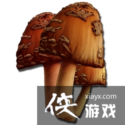 �����������ϡ��Ģ��ͼ�Ľ���