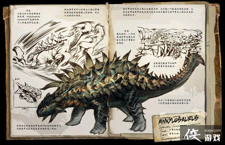 ������������ɼ�ԭʯ�������͹���ͼ�Ĺ���