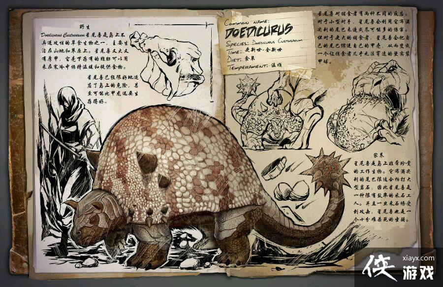 ������������ɼ�ԭʯ�������͹���ͼ�Ĺ���