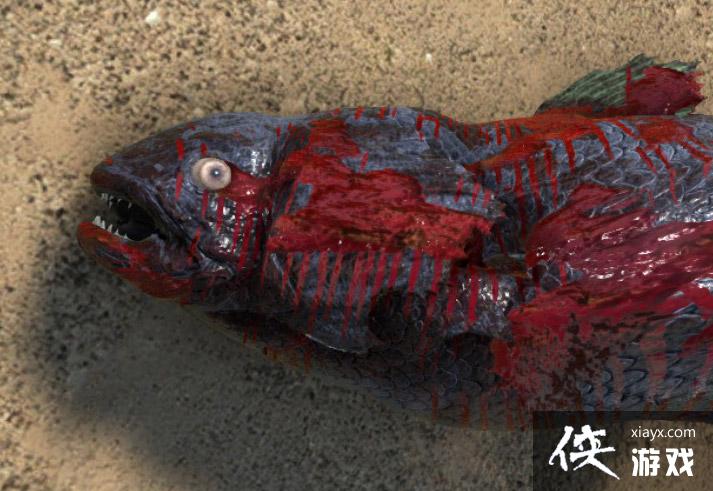 �����������ǻ����ͼ�Ľ���