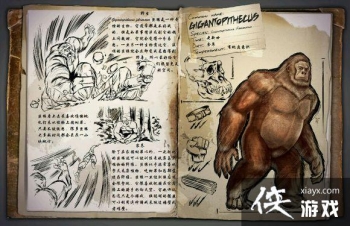 �������������Գͼ�Ľ���