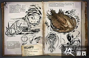 �������������Ҷ��ͼ�Ľ���