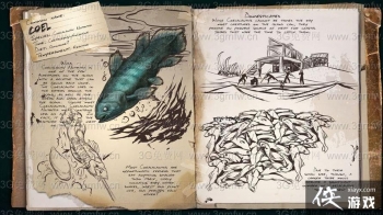 �����������ǻ�������