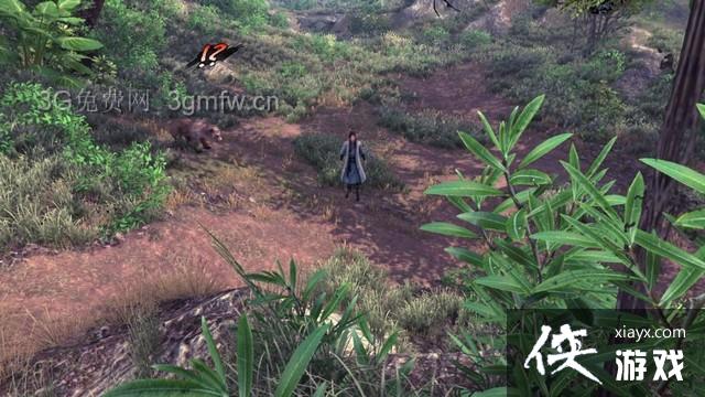 ���ͷ��ƴ�ǰ��ɭ��֧�������ռ�ͼ�Ĺ���