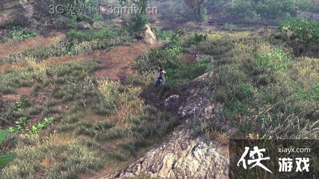 ���ͷ��ƴ�ǰ��ɭ��֧�������ռ�ͼ�Ĺ���