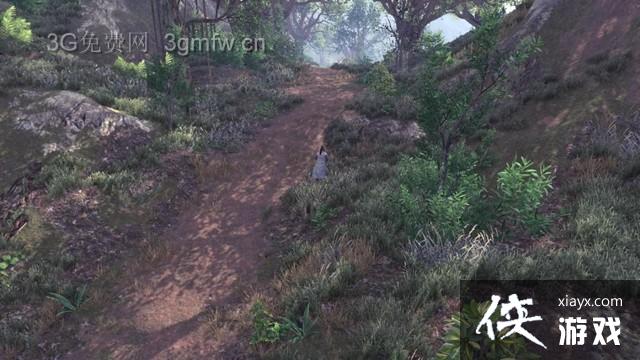 ���ͷ��ƴ�ǰ��ɭ��֧�������ռ�ͼ�Ĺ���