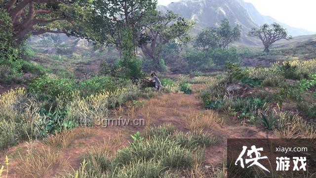 ���ͷ��ƴ�ǰ��ɭ��֧�������ռ�ͼ�Ĺ���