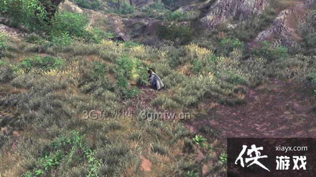 ���ͷ��ƴ�ǰ��ɭ��֧�������ռ�ͼ�Ĺ���