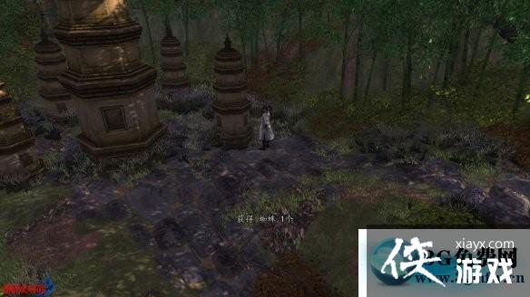 ���ͷ��ƴ�ǰ��������ͼ�Ĺ���