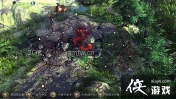 ���ͷ��ƴ�ǰ��ԭʼɭ�ֵ��������д򷨹���