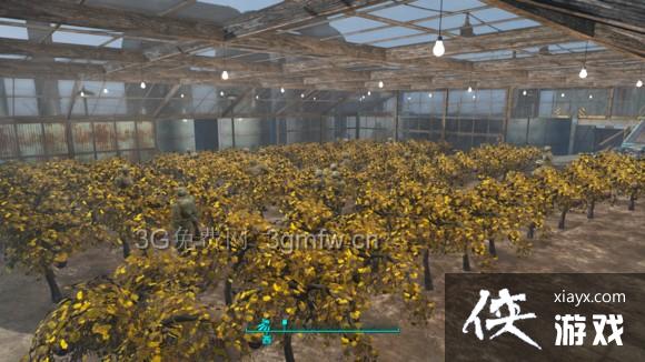 ����4��ά��ũׯ��������ͼ�Ĺ���