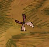 ���Ĺ�ķ���ع��߽���