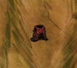 ���Ĺ�ķ���ع��߽���