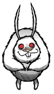 ˹