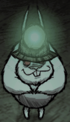 ˹