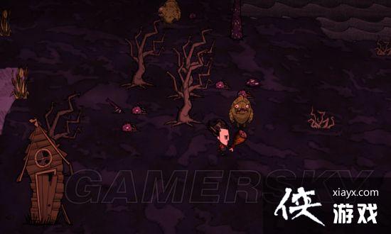 饥荒新手基地选址及布局推荐 饥荒新手基地选址及布局推荐