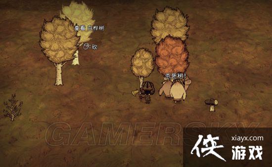 饥荒新手基地选址及布局推荐 饥荒新手基地选址及布局推荐