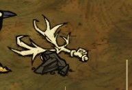 ����ʥ��BOSS����