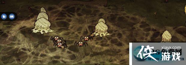 ����֩��������Ƥ��ţë�Ļ�÷���������