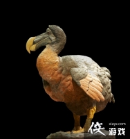 ���ĺ��Ѷɶ�����ôץ�� ���ĺ��Ѷɶ�����ʲô�ã�