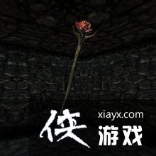 �Ϲž���5��������������а�һ��