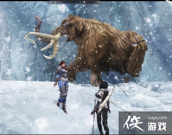 �Ϲž���5��ʵ��Ⱥ������ĺ��ӡ������Գ���ѩ��