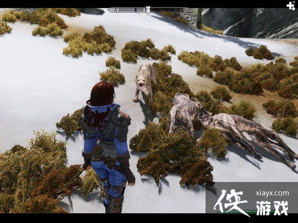 �Ϲž���5���ת���еľ����ߡ�ս��������Ĺ���ѩ������Ƽ׹���