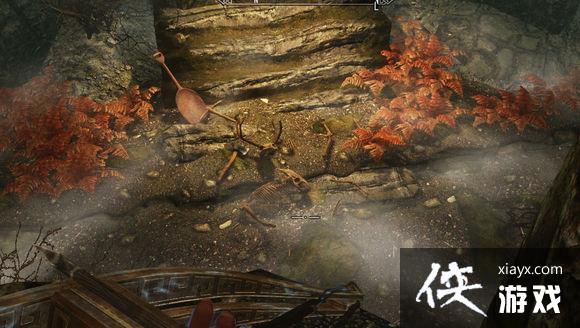 �Ϲž���5����ǹ�ͷ��Ѩ��ϸ�ڡ���������˹��ά������Ѫ���Ĺ�ϵ