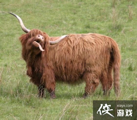 �Ϲž���5����������뺣������ţ�֡��ϱ�����