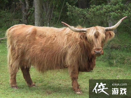 �Ϲž���5����������뺣������ţ�֡��ϱ�����