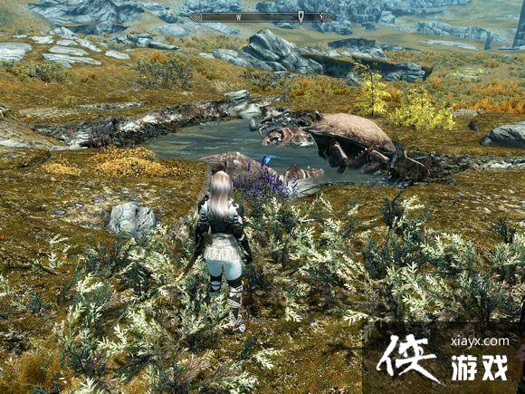 上古卷轴5天际截图下来的小细节 上古卷轴5天际截图下来的小细节