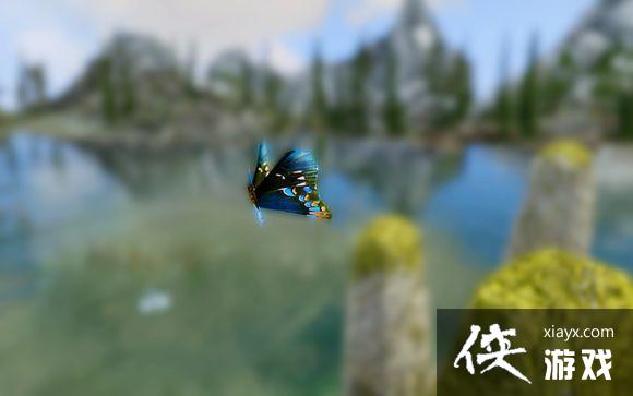 上古卷轴5怎么截图? 上古卷轴5截图教程 上古卷轴5怎么截图? 上古卷轴5截图教程