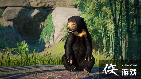 《动物园之星》“东南亚动物包”DLC上架Steam商店 3月30日发售 《动物园之星》“东南亚动物包”DLC上架Steam商店 3月30日发售