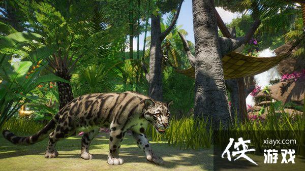 《动物园之星》“东南亚动物包”DLC上架Steam商店 3月30日发售 《动物园之星》“东南亚动物包”DLC上架Steam商店 3月30日发售