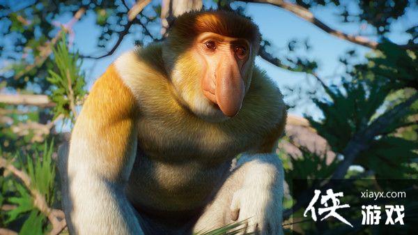 《动物园之星》“东南亚动物包”DLC上架Steam商店 3月30日发售 《动物园之星》“东南亚动物包”DLC上架Steam商店 3月30日发售