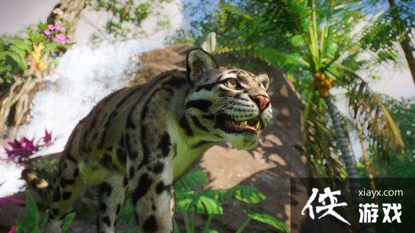 《动物园之星》“东南亚动物包”DLC上架Steam商店 3月30日发售 《动物园之星》“东南亚动物包”DLC上架Steam商店 3月30日发售