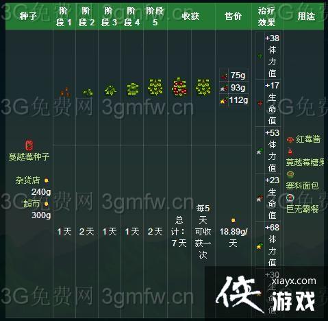 ��¶��������Խݮ��ô�ã���Խݮ��ʲô�ã�