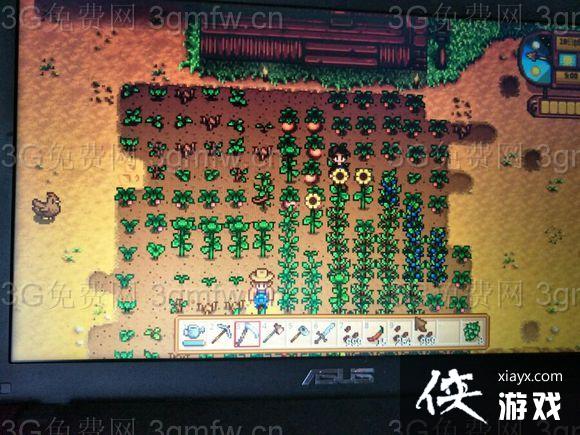 ��¶������ˢǮbug