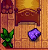 ��¶�������򳤵���ɫ�̿㹥��