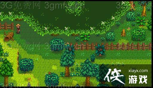 ��¶����������ɭ�����ģ���ʲô�ã�